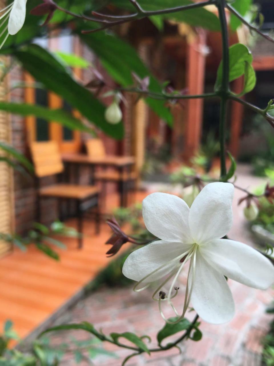 Tam Coc Memories Homestay Ninh Bình Ngoại thất bức ảnh